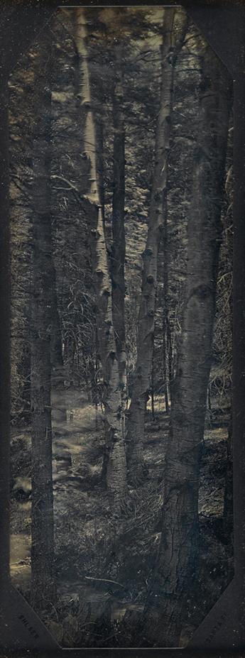 SHLAER, ROBERT (1945?- ) Group of 3 contemporary daguerreotypes, comprising